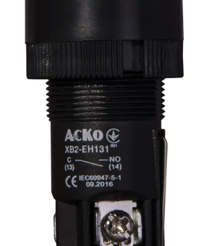 XB2-EH131 Кнопка 