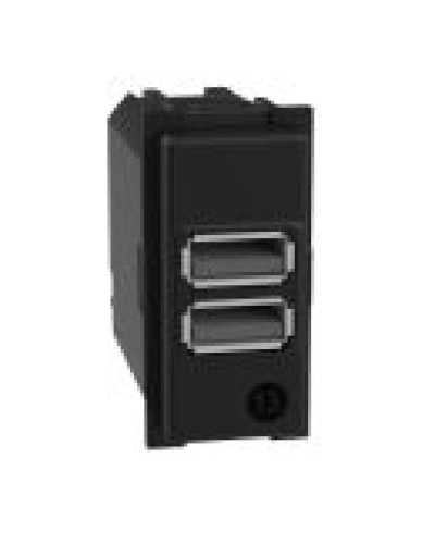 Механизм зарядного устройства USB 2 разъем тип - A/A 15 Вт/3000мА 1 модуль Bticino Living Now K4191AA