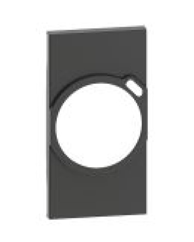 Лицевая панель электрической розетки с USB зарядкой Bticino Living Now KG63 на 2 модуля (черная)