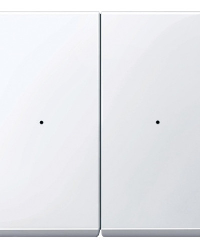 Клавіша для модуля 2-кнопкового вимикача, активно білий,  Merten System M Schneider Electric MTN619225
