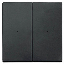 Клавиша для модуля 2 кнопочного выключателя, антрацит, Merten System M Schneider Electric MTN625214