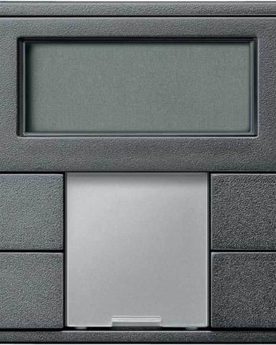 2-Кнопочный выключатель с терморегулятором, антрацит, System M, Merten Schneider Electric MTN6212-0414