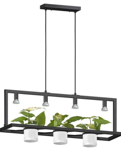 Подвесной светильник Черный P0536-04B-P7AB PLANTER LAMPA