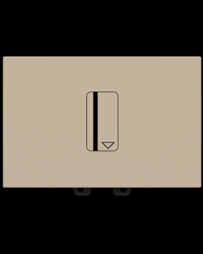 Вимикач картковий zenit шампань, 2cla221410n1901, abb