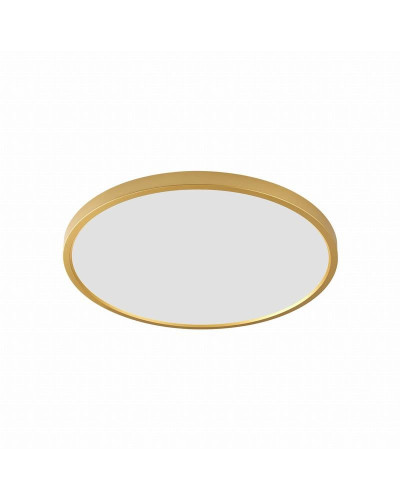 Стельовий світильник Золото CAMI LAMPA WM-BP1108-MG