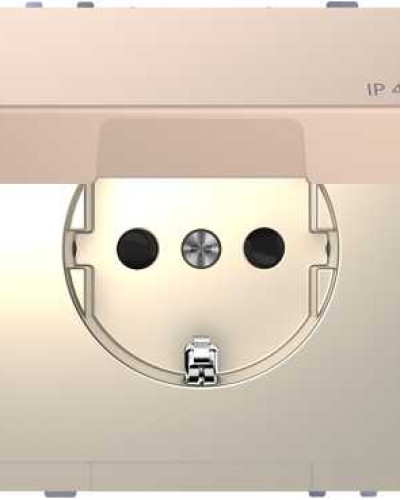  Розетка з  заземлюючим контактом  і кришкою, IP20,  Шампань, MERTEN   D-Life   Schneider Electric MTN2310-6051
