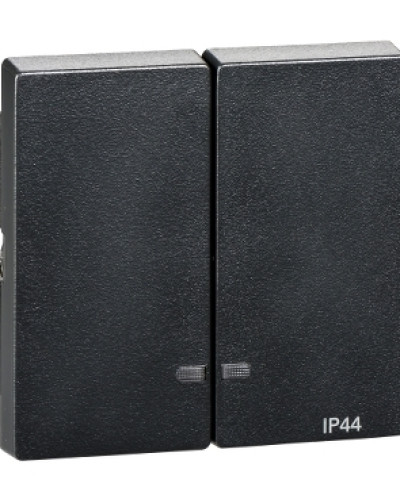 Двойная клавиша с окошком для светоиндикатора IP44, антрацит Merten System M Schneider Electric MTN3424-0414