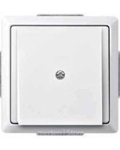 Центральна накладка для виводу кабеля, білий, Merten Antique, Schneider Electric MTN299319