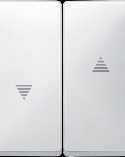 Клавіша для вимикачів жалюзі, полярно-білий, Merten Antique, Schneider Electric MTN411519