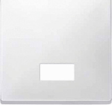 Клавиша с прямоугольным окошком для символов, белый, Merten Antique, Schneider Electric MTN411819