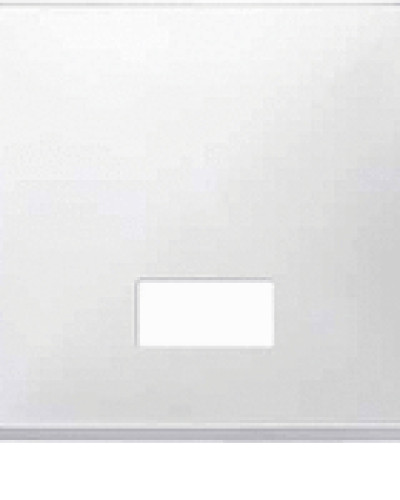Клавіша з прямокутним віконцем для символів, білий, Merten Antique, Schneider Electric MTN411819