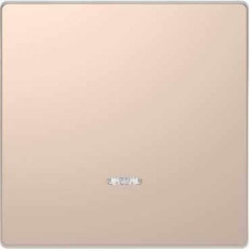 Клавиша с окошком для световой
индикации, шампань,Merten D-Life Schneider Electric MTN3320-6051