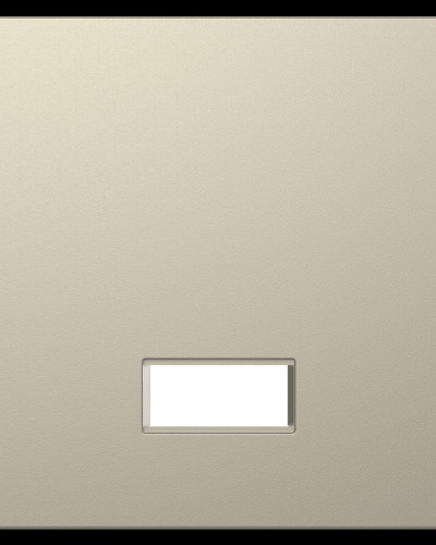 Клавиша с прямоугольным окошком
для символов,Сахара, Merten D-Life , Schneider Electric MTN3350-6033
