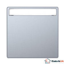 Клавиша с полем для надписи, нержавеющая сталь MERTEN D-Life Schneider Electric MTN3360-6036