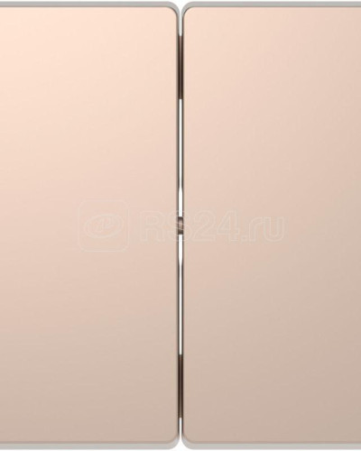 Двойная клавиша, шампань, MERTEN D-Life Schneider Electric MTN3400-6051