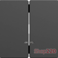 Двойная клавиша с окошком для
световой индикации, антрацит, Merten D-Life Schneider Electric MTN3420-6034