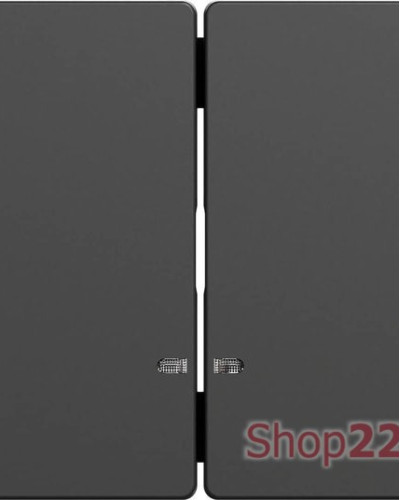 Двойная клавиша с окошком для
световой индикации, антрацит, Merten D-Life Schneider Electric MTN3420-6034