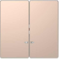 Двойная клавиша с окошком для
световой индикации, никель, Merten D-Life Schneider Electric MTN3420-6050