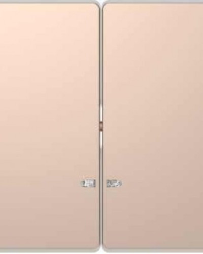 Двойная клавиша с окошком для
световой индикации, шампань, Merten D-Life Schneider Electric MTN3420-6051