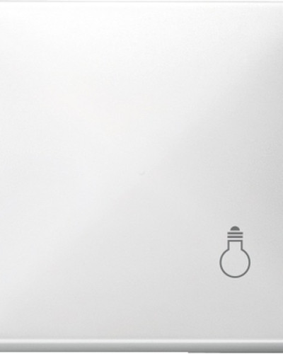 Клавиша с маркировкой "свет", полярно-белый, Merten, System D, Schneider Electric MTN412919