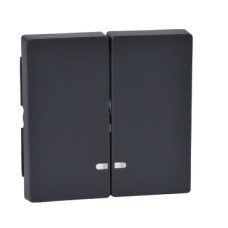 Клавиша двойная с окошком для светоиндикатора, антрацит, Merten System M Schneider Electric MTN3420-0414