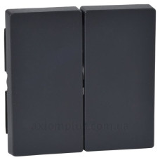 Двойная клавиша, антрацит, Merten System M Schneider Electric MTN433514