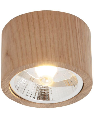 Спот OAK 3010103 Zuma Line