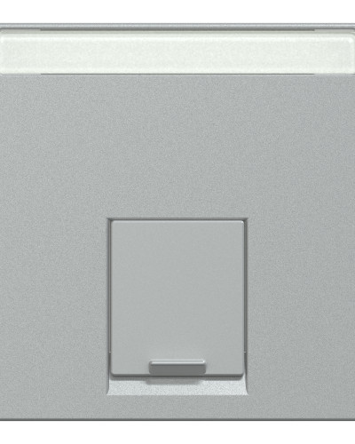 Накладка для механизма RJ11/RJ45 1 постовая, алюминий, Merten System M Schneider Electric MTN465860