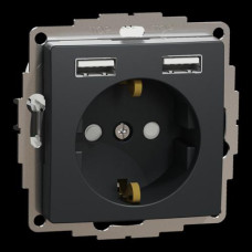 Розетка с заземлением + 2 USB тип А Черный Sedna Design Schneider Electric SDD114052