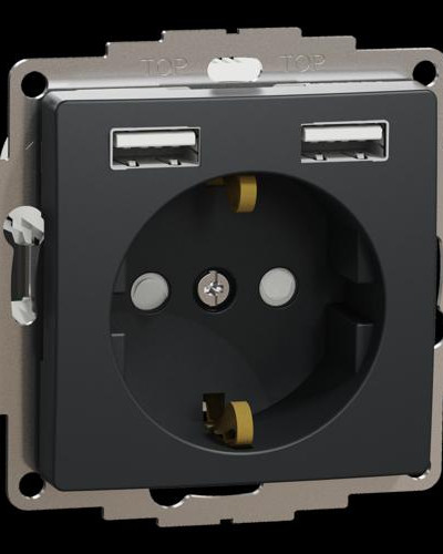 Розетка с заземлением + 2 USB тип А Черный Sedna Design Schneider Electric SDD114052
