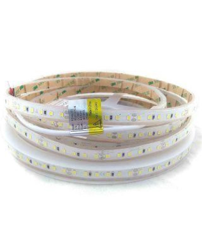 Светодиодная лента 2835-120-IP67-CWd-10-24 RD30C0TC-B CRI80