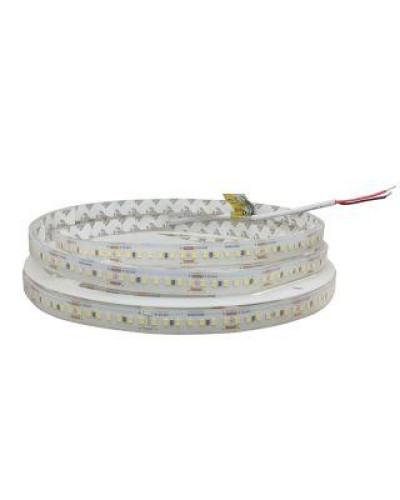 Светодиодная лента 2835-168-IP68-CWd-10-24 RVA2G8TC-A 6500К