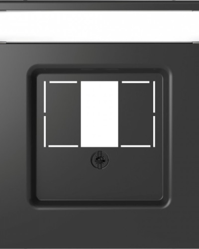 Центральна плата для TAE/Audio/USB з полем для напису, Антрацит, MERTEN D-Life  Schneider Electric MTN4250-6034