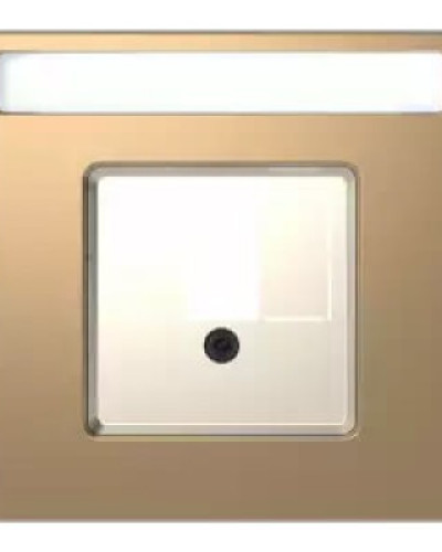 Центральна плата для TAE/Audio/USB з полем для напису, Шампань, MERTEN D-Life  Schneider Electric MTN4250-6051