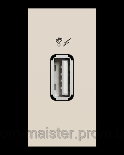 Розетка USB інформаційна 1 модуль бежева Unica New