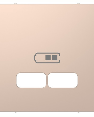 Центральна накладка для USB механізму 2,1А, шампань, D-Life Merten, Schneider Electric MTN4367-6051