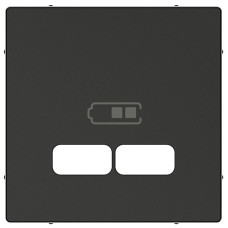 Центральная плата для механизма зарядного устройства USB 2,1 А, антрацит, SM, Schneider Electric MTN4367-0414