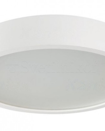 Стельовий світильник Дерево WOOD CAMI LAMPA WM-BP1108-MW